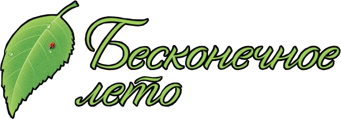 бесконечное лето